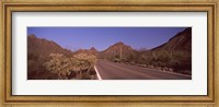 Road Through Saguaro National Park, Arizona Fine Art Print