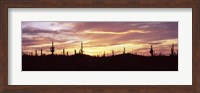 Purple and Orange Sky Over Saguaro Nataional Park, Arizona Fine Art Print