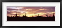 Purple and Orange Sky Over Saguaro Nataional Park, Arizona Fine Art Print