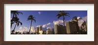 Low angle view of skyscrapers, Honolulu, Hawaii, USA 2010 Fine Art Print