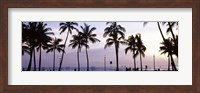 Palm trees on the beach, Waikiki, Honolulu, Oahu, Hawaii (black and white) Fine Art Print