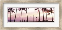 Palm trees on the beach, Waikiki, Honolulu, Oahu, Hawaii Fine Art Print