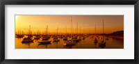 Boats moored at a harbor at dusk, Chicago River, Chicago, Cook County, Illinois, USA Fine Art Print
