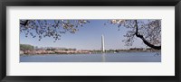 Cherry blossom with monument in the background, Washington Monument, Tidal Basin, Washington DC, USA Fine Art Print
