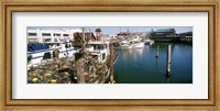 Fishing boats at a dock, Fisherman's Wharf, San Francisco, California, USA Fine Art Print