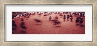Rodeo arena, Fort Worth Stock Show and Rodeo, Fort Worth, Texas, USA Fine Art Print