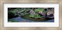 Japanese Garden, University of California, Los Angeles Fine Art Print