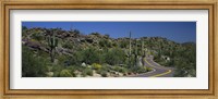 Road Through The Desert, Phoenix, Arizona, USA Fine Art Print