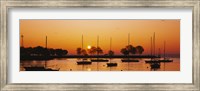 Silhouette of sailboats in a lake, Lake Michigan, Chicago, Illinois, USA Fine Art Print