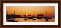Silhouette of sailboats in a lake, Lake Michigan, Chicago, Illinois, USA Fine Art Print