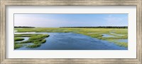 Sea grass in the sea, Atlantic Coast, Jacksonville, Florida, USA Fine Art Print