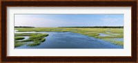 Sea grass in the sea, Atlantic Coast, Jacksonville, Florida, USA Fine Art Print