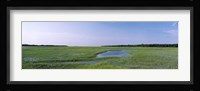 USA, Florida, Jacksonville, Atlantic Coast, Salt Marshes Fine Art Print