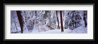 Winter footbridge Cleveland Metro Parks, Cleveland OH USA Fine Art Print