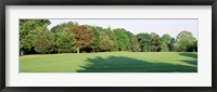 Trees on a golf course, Woodholme Country Club, Baltimore, Maryland, USA Fine Art Print