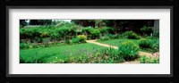 USA, Virginia, Williamsburg, colonial garden Fine Art Print