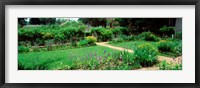 USA, Virginia, Williamsburg, colonial garden Fine Art Print