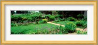 USA, Virginia, Williamsburg, colonial garden Fine Art Print