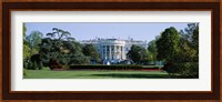 Lawn in front of a government building, White House, Washington DC, USA Fine Art Print