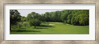 Trees On A Golf Course, Baltimore Country Club, Baltimore, Maryland, USA Fine Art Print