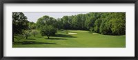 Trees On A Golf Course, Baltimore Country Club, Baltimore, Maryland, USA Fine Art Print