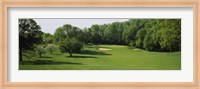 Trees On A Golf Course, Baltimore Country Club, Baltimore, Maryland, USA Fine Art Print