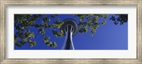 Space Needle Maple Trees Seattle Center Seattle WA USA Fine Art Print
