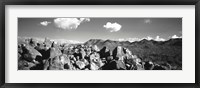 Boulders on a landscape, Saguaro National Park, Tucson, Pima County, Arizona, USA Fine Art Print
