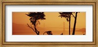 Golden Gate Bridge Through the Fog Fine Art Print
