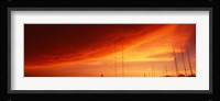Low angle view of antennas, Phoenix, Arizona, USA Fine Art Print
