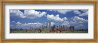 Red Flowers in a park with buildings in the background, Manhattan Fine Art Print