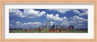 Red Flowers in a park with buildings in the background, Manhattan Fine Art Print