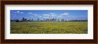 Yellow Flowers in a park with Manhattan in the background, New York City Fine Art Print