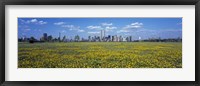 Yellow Flowers in a park with Manhattan in the background, New York City Fine Art Print