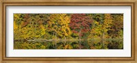 Reflection of trees in water, Saratoga Springs, New York City, New York State, USA Fine Art Print