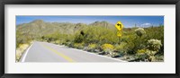 Directional signboard at the roadside, McCain Loop Road, Tucson Mountain Park, Tucson, Arizona, USA Fine Art Print