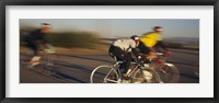 Bicycle race, Tucson, Pima County, Arizona, USA Fine Art Print