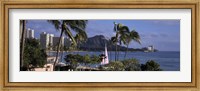 Palm trees on Waikiki Beach, Oahu, Honolulu, Hawaii Fine Art Print