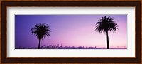 San Francisco skyline between 2 palm trees, California Fine Art Print