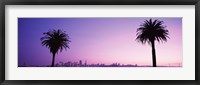 San Francisco skyline between 2 palm trees, California Fine Art Print