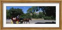 Tourists Traveling In A Horse Cart, NYC, New York City, New York State, USA Fine Art Print
