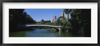 Bridge Over A Lake, Bow Bridge, Manhattan, NYC, New York City, New York State, USA Fine Art Print