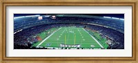 Philadelphia Eagles NFL Football Veterans Stadium Philadelphia PA Fine Art Print