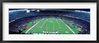 Philadelphia Eagles NFL Football Veterans Stadium Philadelphia PA Framed Print