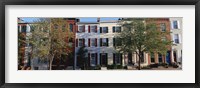 Row homes, Philadelphia Fine Art Print