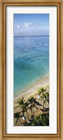 High angle view of palm trees with beach umbrellas on the beach, Waikiki Beach, Honolulu, Oahu, Hawaii, USA Fine Art Print