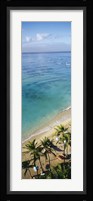 High angle view of palm trees with beach umbrellas on the beach, Waikiki Beach, Honolulu, Oahu, Hawaii, USA Fine Art Print