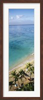 High angle view of palm trees with beach umbrellas on the beach, Waikiki Beach, Honolulu, Oahu, Hawaii, USA Fine Art Print