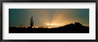 Desert Sun Beams, Near Phoenix, Arizona, USA Fine Art Print