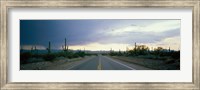 Desert Road near Tucson Arizona USA Fine Art Print